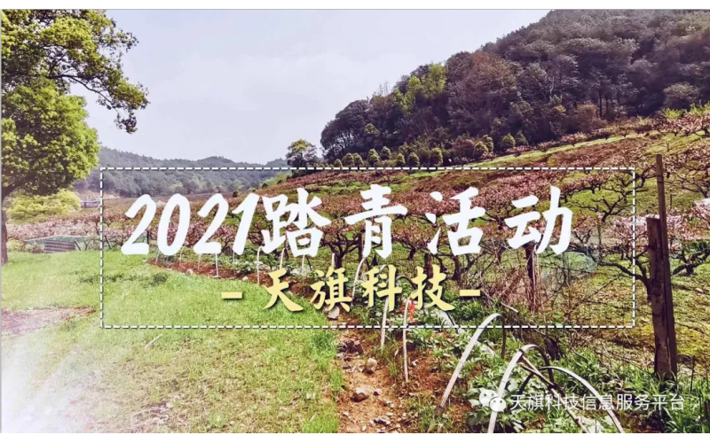 2021天旗科技踏青活动